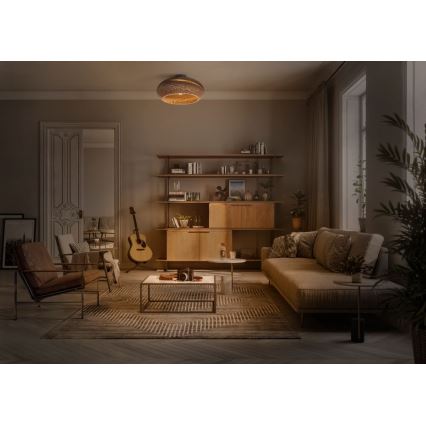 Ledvance - Plafonjera DECOR CARDBOARD 1xE27/15W/230V pr. 40 cm