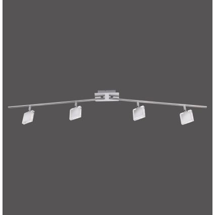 Leuchten Direkt 11084-55 - LED Reflektorska lampa TONY 4xLED/4W/230V