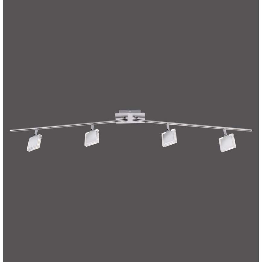 Leuchten Direkt 11084-55 - LED Reflektorska lampa TONY 4xLED/4W/230V