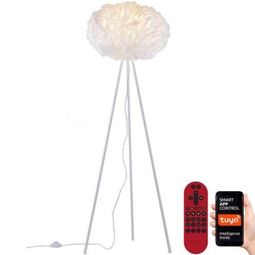 Leuchten Direkt 11212-16 - LED RGBW Prigušiva podna lampa NAOMI LED/10W/230V 2700-5000K Wi-Fi TUYA + Daljinski upravljač