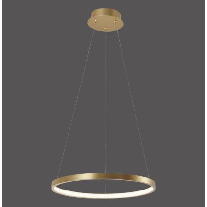 Leuchten Direkt 11522-12 - LED luster na sajli CIRCLE LED/19W/230V