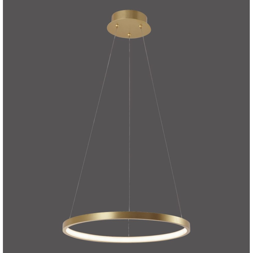 Leuchten Direkt 11522-12 - LED luster na sajli CIRCLE LED/19W/230V