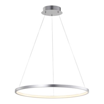 Leuchten Direkt 11524-21 - LED luster na sajli CIRCLE LED/28,5W/230V