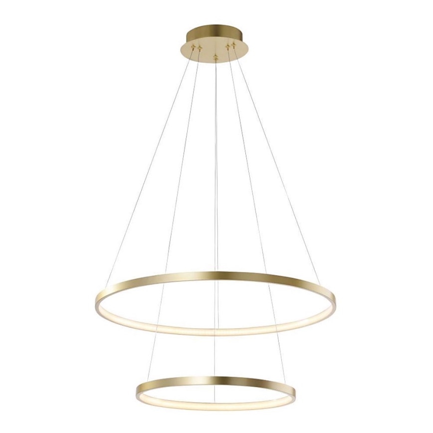 Leuchten Direkt 11525-12 -LED Luster na sajli CIRCLE 1xLED/18,5W/230V + LED/23,5W