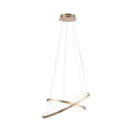 Leuchten Direkt 11525-12 -LED Luster na sajli CIRCLE 1xLED/18,5W/230V + LED/23,5W