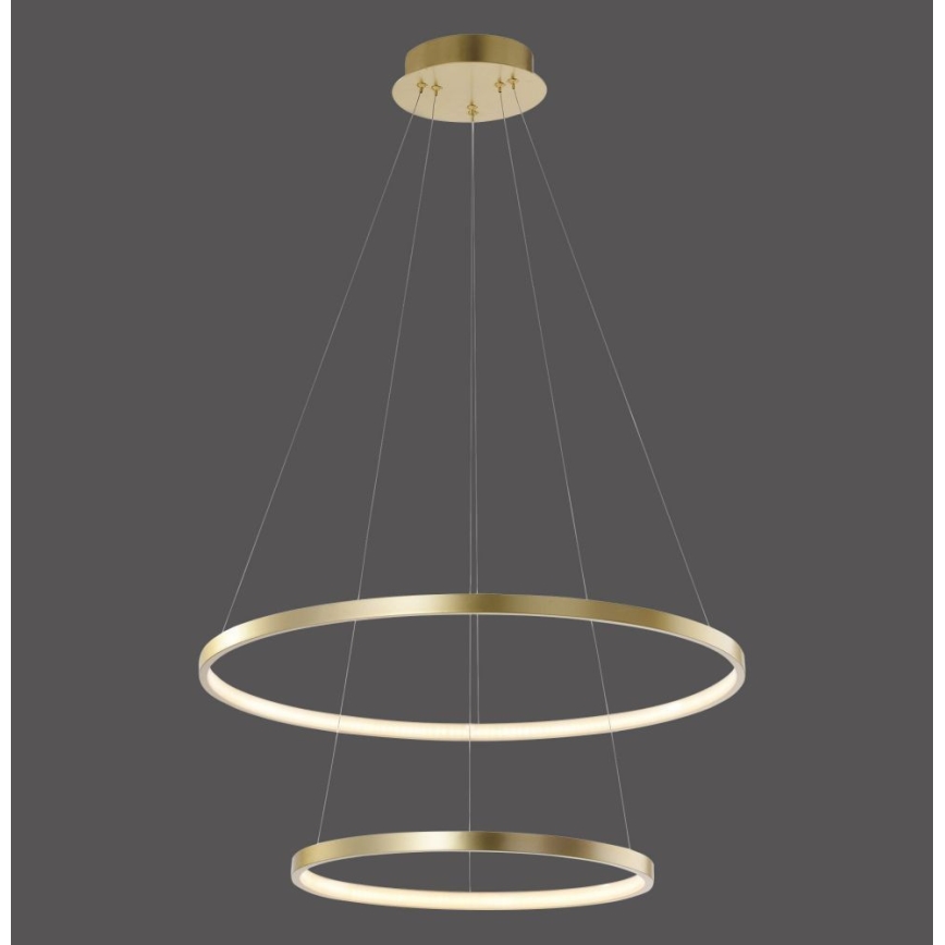 Leuchten Direkt 11525-12 -LED Luster na sajli CIRCLE 1xLED/18,5W/230V + LED/23,5W