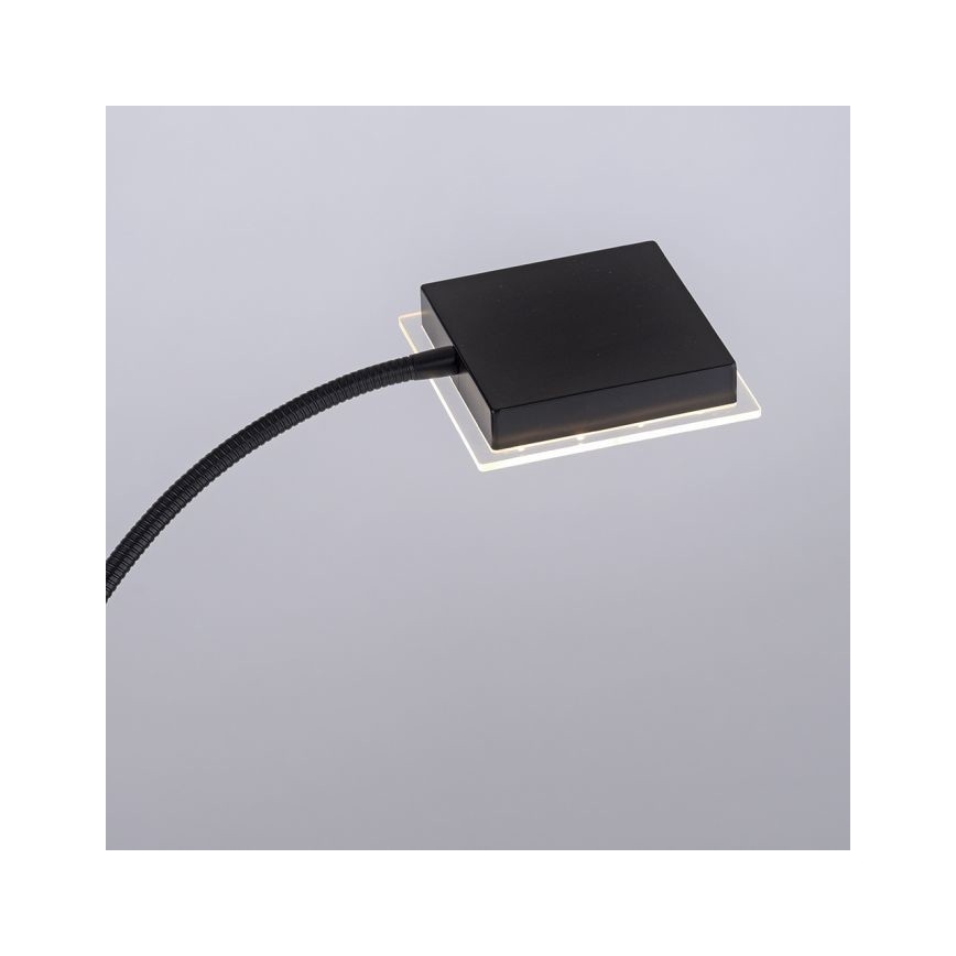 Leuchten Direkt 11710-18 - LED prigušiva podna lampa HANS LED/21,5W/230V + LED/4W