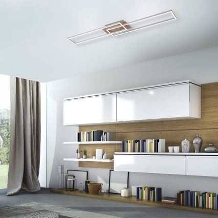 Leuchten Direkt 14019-78 - LED prigušiva stropna svetiljka IVEN 2xLED/20W/230V + daljinski upravljač