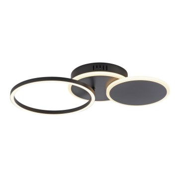 Leuchten Direkt 14116-18 - LED Plafonjera SEVENT LED/25,5W/230V crno