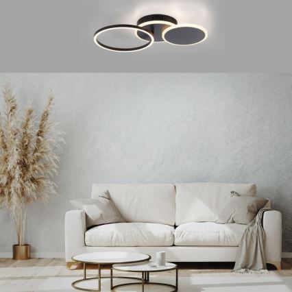 Leuchten Direkt 14116-18 - LED Plafonjera SEVENT LED/25,5W/230V crno