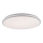 Leuchten Direkt 14208-16 - LED prigušiva plafonska svetiljka COLIN LED/18W/230V