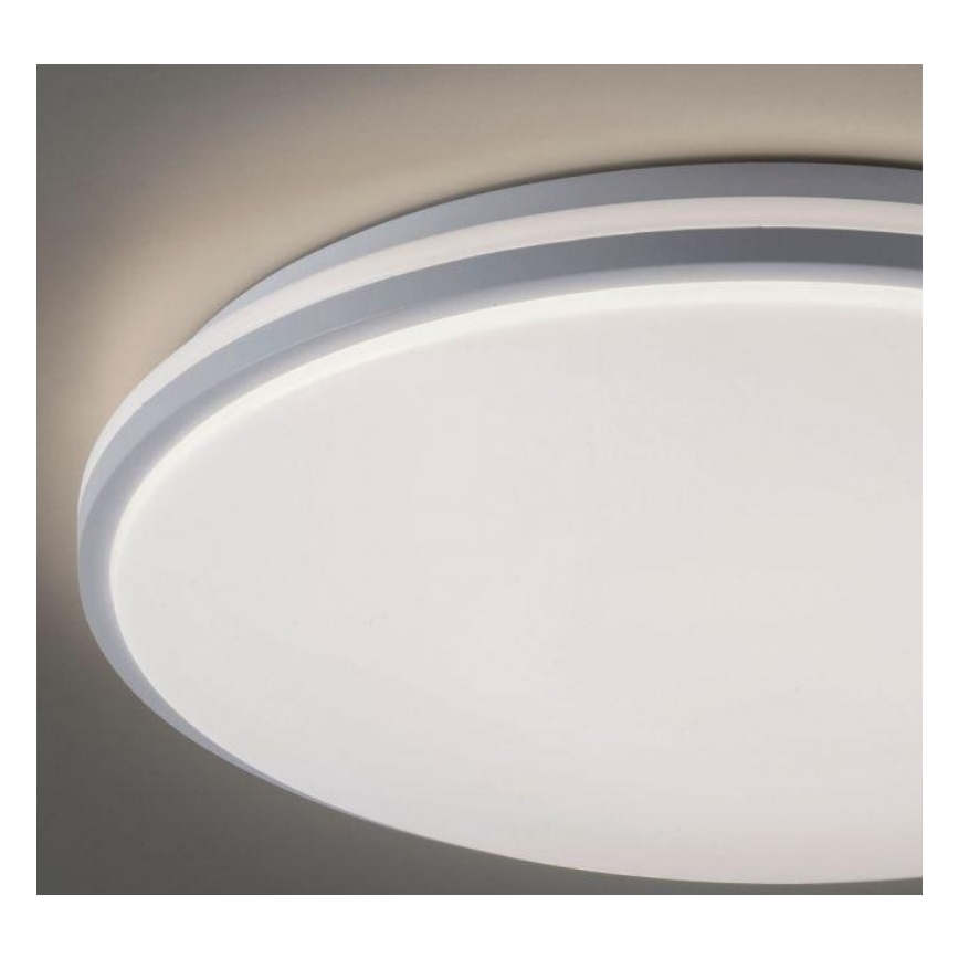 Leuchten Direkt 14208-16 - LED prigušiva plafonska svetiljka COLIN LED/18W/230V