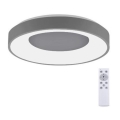 Leuchten Direkt 14326-18 - LED prigušiva plafonska svetiljka ANIKA LED/30W/230V + daljinski upravljač