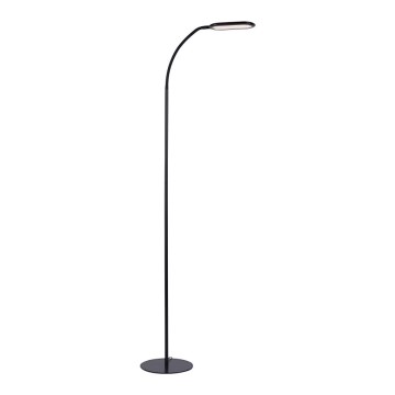 Leuchten Direkt 14406-18 - LED prigušiva dodirna podna lampa KELLY LED/7W/230V 3000/4000/6000K