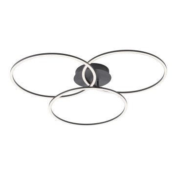 Leuchten Direkt 14539-18 - LED prigušiva stropna svetiljka IVANKA 3xLED/12W/230V