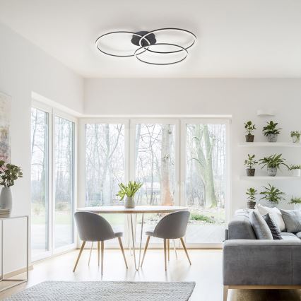 Leuchten Direkt 14539-18 - LED prigušiva stropna svetiljka IVANKA 3xLED/12W/230V