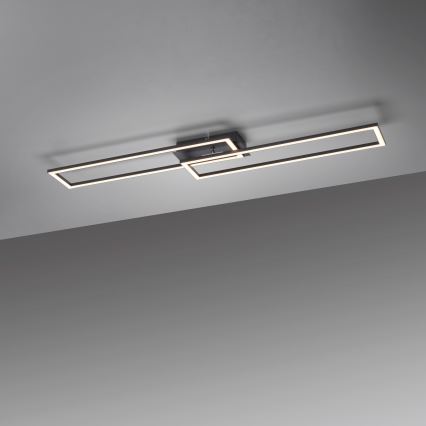Leuchten Direkt 14691-18 - LED prigušiva plafonska svetiljka IVEN LED/36W/230V