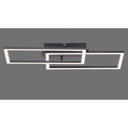 Leuchten Direkt 14692-18 - LED prigušiva plafonska svetiljka IVEN LED/36W/230V