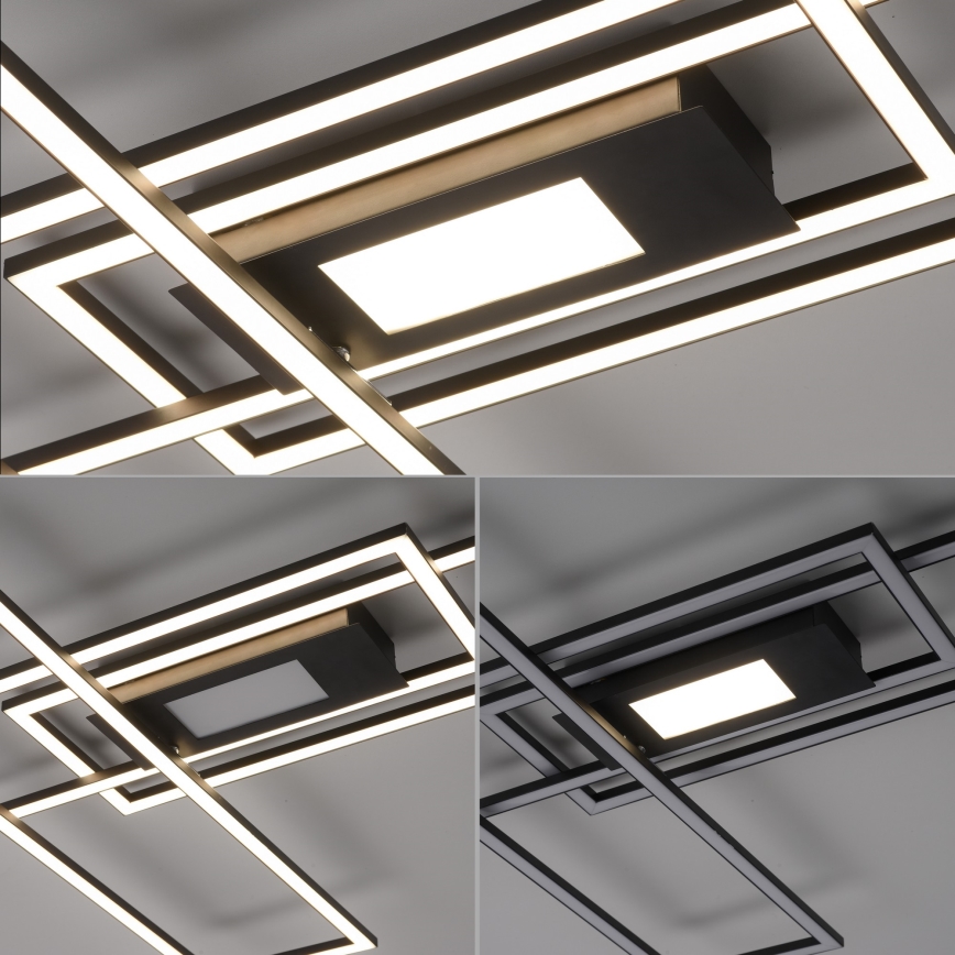 Leuchten Direkt 14693-18 - LED Prigušiva stropna svjetiljka ASMIN LED/48W/230V + daljinski upravljač
