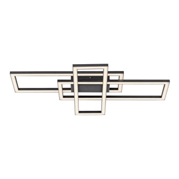 Leuchten Direkt 14697-18 - LED Prigušiva plafonjera IVEN LED/24W/230V