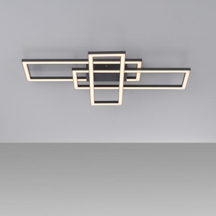 Leuchten Direkt 14697-18 - LED Prigušiva plafonjera IVEN LED/24W/230V