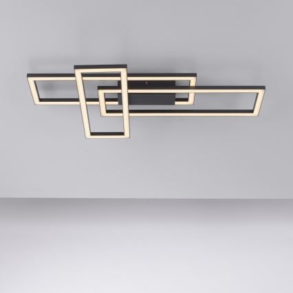Leuchten Direkt 14697-18 - LED Prigušiva plafonjera IVEN LED/24W/230V