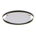 Leuchten Direkt 15391-13 - LED prigušiva stropna svetiljka RITUS LED/20W/230V crna