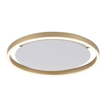 Leuchten Direkt 15391-60 - LED Prigušiva plafonjera RITUS LED/20W/230V mesing