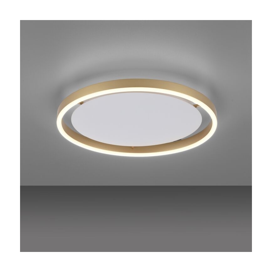 Leuchten Direkt 15391-60 - prigušiva LED stropna svetiljka RITUS LED/20W/230V mesing