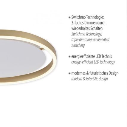 Leuchten Direkt 15391-60 - prigušiva LED stropna svetiljka RITUS LED/20W/230V mesing