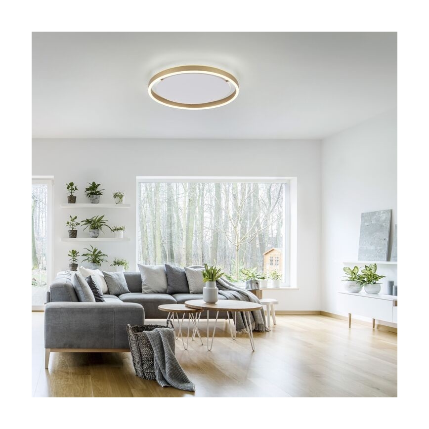 Leuchten Direkt 15391-60 - LED Prigušiva stropna svjetiljka RITUS LED/20W/230V mesing