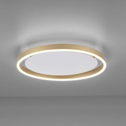 Leuchten Direkt 15391-60 - LED Prigušiva stropna svjetiljka RITUS LED/20W/230V mesing