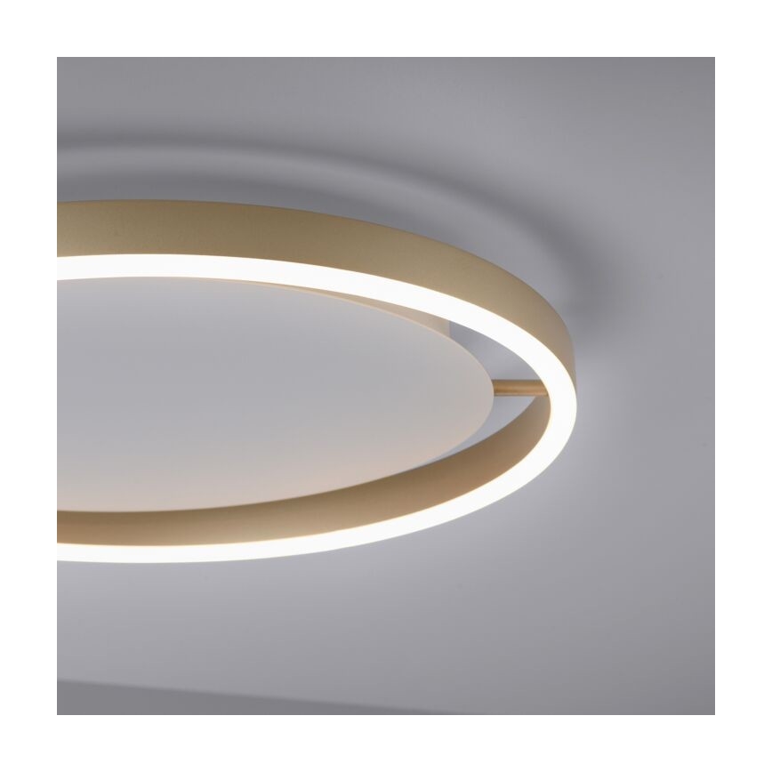 Leuchten Direkt 15391-60 - LED Prigušiva stropna svjetiljka RITUS LED/20W/230V mesing