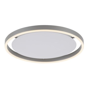 Leuchten Direkt 15391-95 - LED Prigušiva plafonjera RITUS LED/20W/230V mat krom