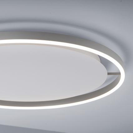 Leuchten Direkt 15392-95 - LED Prigušiva plafonjera RITUS LED/30W/230V mat krom