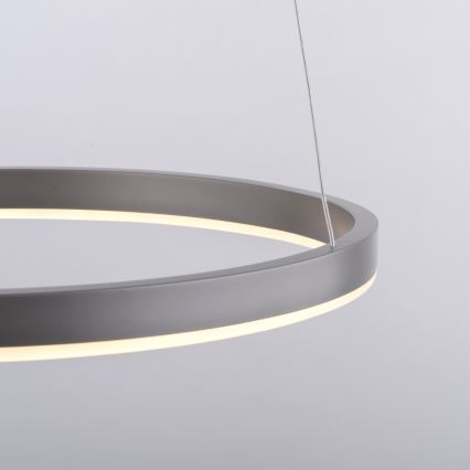 Leuchten Direkt 15393-95 - LED Prigušivi luster na sajli RITUS LED/20W/230V mat krom