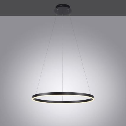 Leuchten Direkt 15394-13 - LED prigušiva lustr na sajli RITUS LED/30W/230V crna