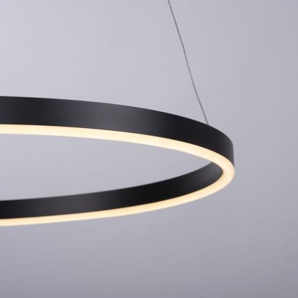 Leuchten Direkt 15394-13 - LED prigušiva lustr na sajli RITUS LED/30W/230V crna