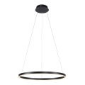 Leuchten Direkt 15394-13 - LED Prigušivi luster na sajli RITUS LED/30W/230V crno