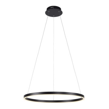 Leuchten Direkt 15394-13 - LED Prigušivi luster na sajli RITUS LED/30W/230V crno