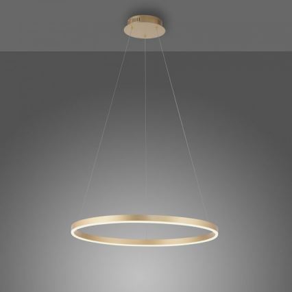 Leuchten Direkt 15394-60 - RITUS LED prigušiva viseća lampa na sajli, LED/30W/230V, mesing