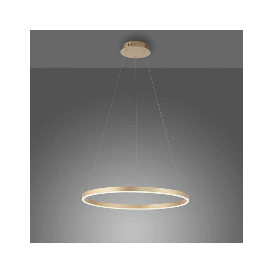 Leuchten Direkt 15394-60 - RITUS LED prigušiva viseća lampa na sajli, LED/30W/230V, mesing