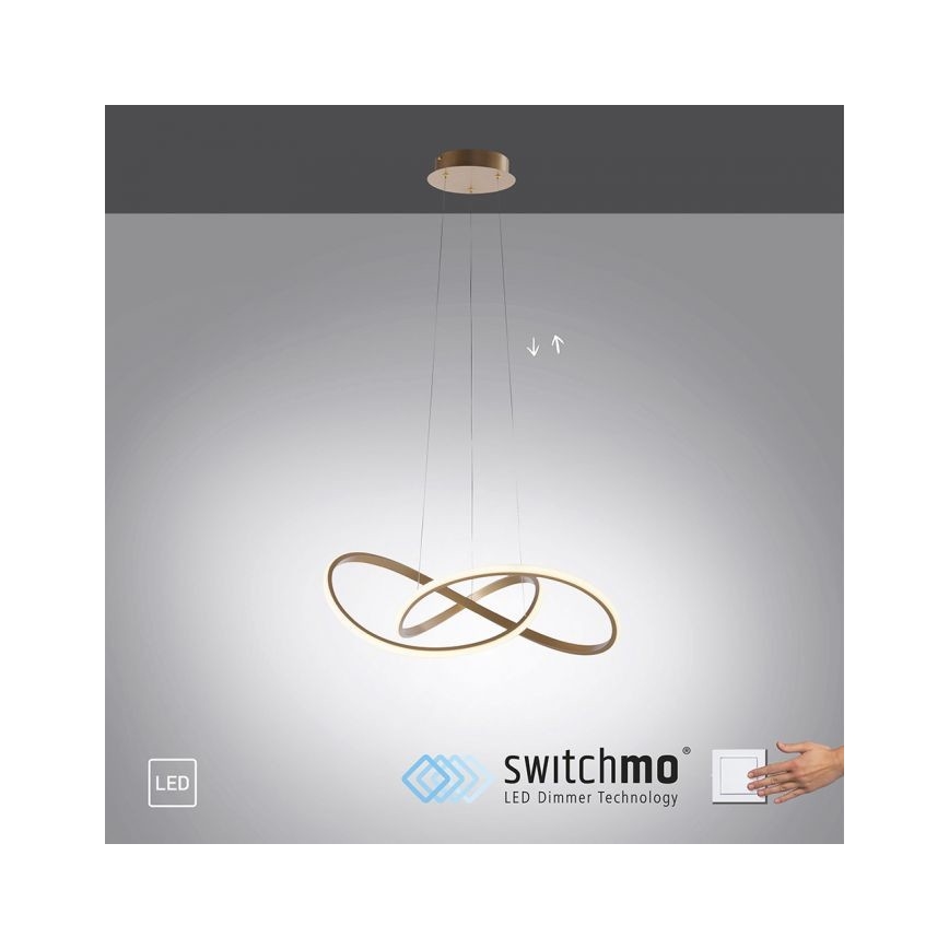 Leuchten Direkt 15402-60 - LED luster na sajli MARIA sa prigušiva LED/25W/230V