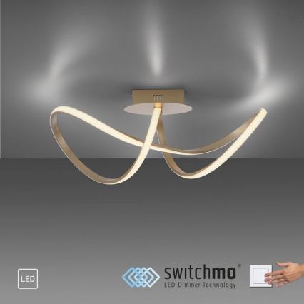 Leuchten Direkt 15403-60 - LED prigušiva plafonska lampa MARIA LED/15,5W/230V