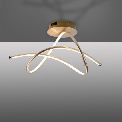 Leuchten Direkt 15441-12 - LED prislonjen stropni luster VIOLETTA LED/26W/230V