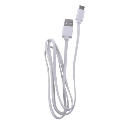 Leuchten Direkt 19250-16 - LED Spoljašnja prigušiva punjiva stona lampa EURIA LED/3W/5V 2600 mAh IP54 bela