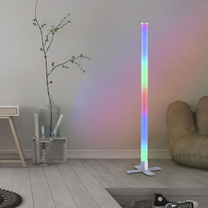 Leuchten Direkt 19902-21 - LED RGB prigušiva lampa RINGO LED/10W/230V + daljinski upravljač