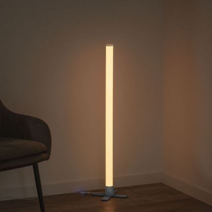 Leuchten Direkt 19902-21 - LED RGB prigušiva lampa RINGO LED/10W/230V + daljinski upravljač
