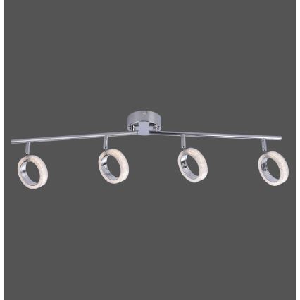 Leuchten Direkt L10504-17 - LED Reflektorska lampa ANGELO 4xLED/3,5W/230V