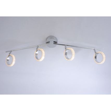 Leuchten Direkt L10504-17 - LED Reflektorska lampa ANGELO 4xLED/3,5W/230V